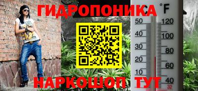 ECSTASY Жуковский