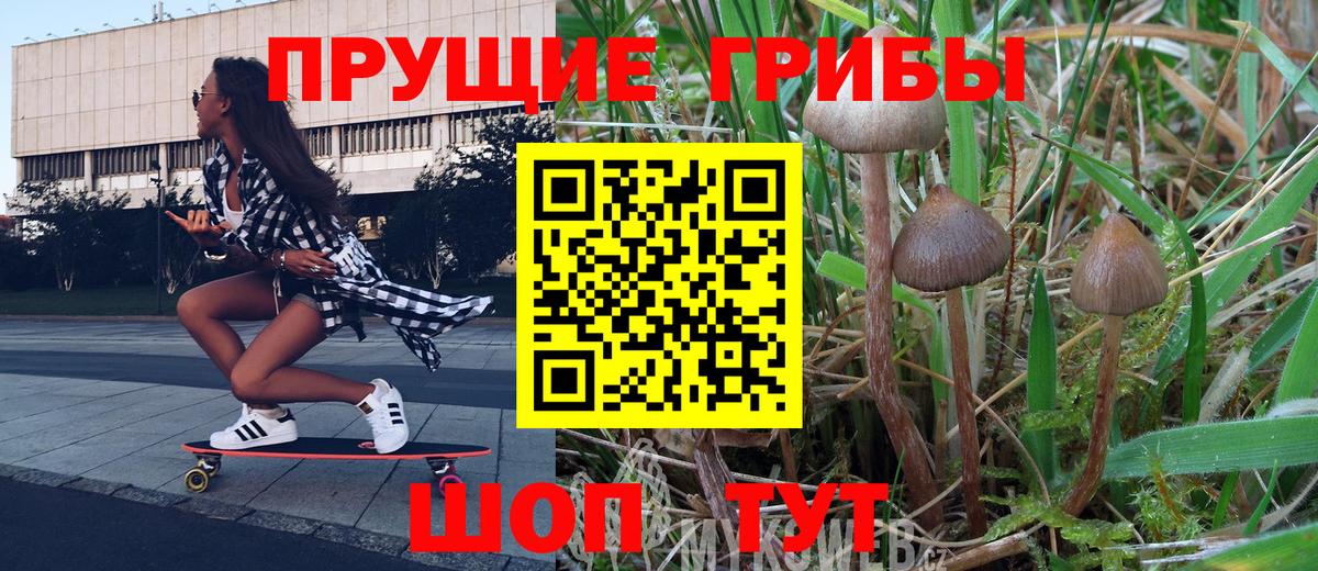 Галлюциногенные грибы Cubensis  Галлюциногенные грибы прущие грибы  Вход с VPN  Великие Луки 