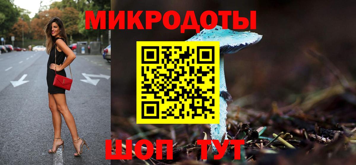 Галлюциногенные грибы Psilocybe Великие Луки